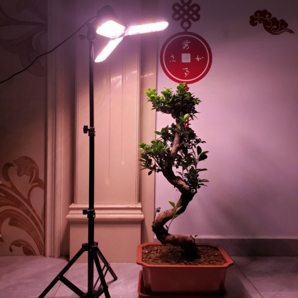 Portalampada 2M, attacco CA E2 - Photography Umbrella Light recensione e prezzo